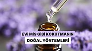 Evi Mis Gibi Kokutmanın Doğal Yöntemleri