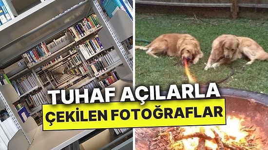 Tuhaf Perspektifle Çekilen Fotoğrafları Paylaşarak Kafamızı Allak Bullak Eden Kullanıcılar