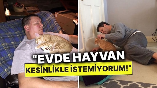 "O Gelirse Ben Giderim" Dedikten Sonra Evcil Hayvanlarının Kulu Kölesi Olan Ebeveynler