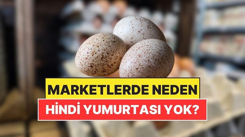 Marketlerde Tavuk ve Bıldırcın Yumurtası Varken Hindi Yumurtası Neden Yok?