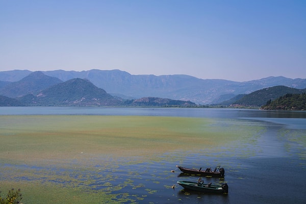 4. Take a Dalyan tour and experience a mud bath