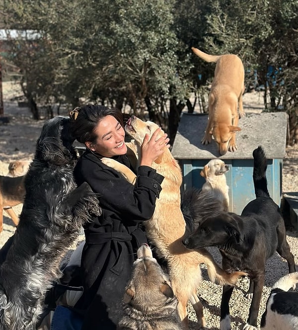 Aybüke Pusat'ın (HEPAD) Her Eve Bir Pati isimli barınaktan Pinka ve Biricik isimli iki köpeğe yuva olduğu ortaya çıkmıştı.