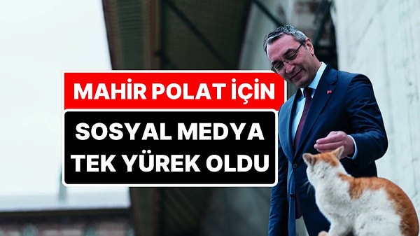 Kapak Görseli