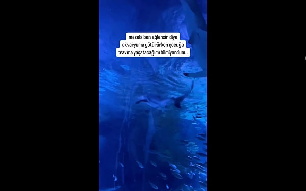 Denizler, kendine özgü bir evreni barındıran, büyüleyici ve sıra dışı bir dünyadır.