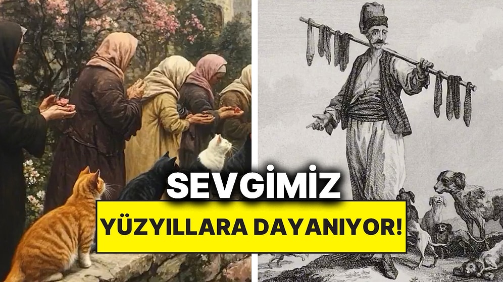 Bir İçerik Üreticisi Sokak Hayvanlarına Olan Sevgi ve Merhametimizin 15. Yüzyıldan Bu Yana Geldiğini Anlattı