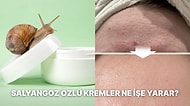 Son Dönemde Popüler Olan Salyangoz Özü Nedir, Kremi Ne İşe Yarar?