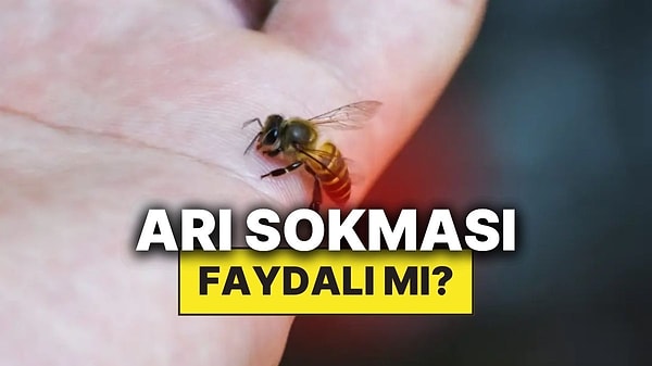 Kapak Görseli
