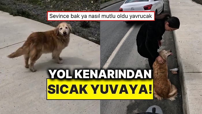 Yol Kenarında Bulduğu Köpeği Sahiplendiren Motor Sürücüsü İçimizi Isıtan Anlara Vesile Oldu!