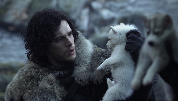 Westeros'un en zeki ve kuvvetli canlıları 200 yılın sonunda Start ailesi tarafından bulunmuştu...