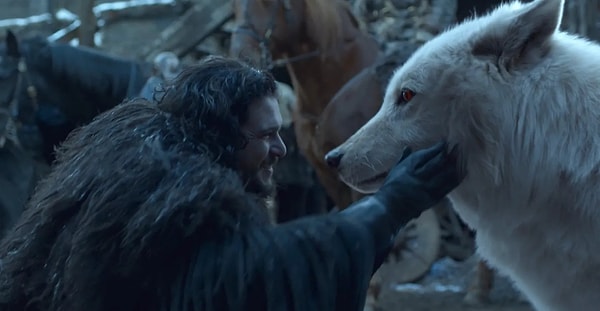 "Game of Thrones"un ardından meşhur olan ulu kurt, araştırmalara konu oldu. Kurtların soyunun 12 bin yıl önce tükendiği ortaya çıktı.