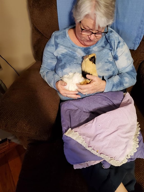 9. Hep kedi-köpek paylaşacak değiliz!