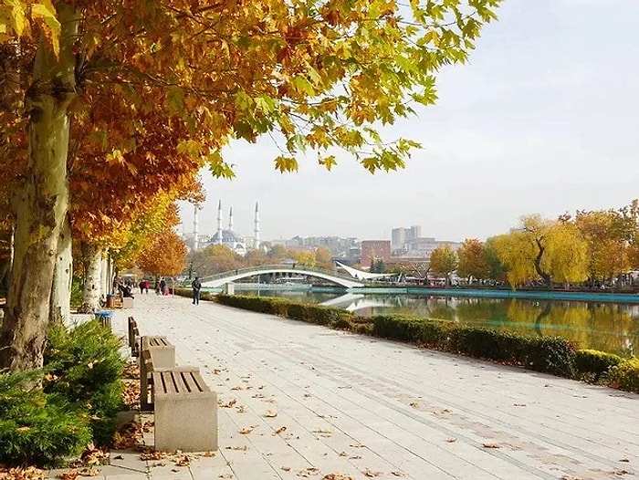 Discover the Most Beautiful Parks in Ankara to Connect with Nature