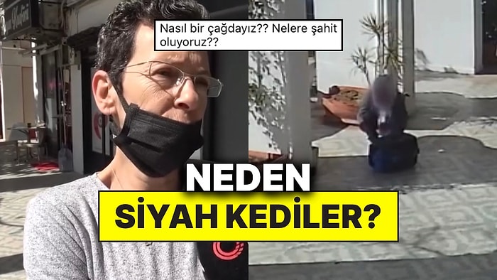 Antalya’da Bir Mahalle Sakini Besledikleri Siyah Renkli Kedilerin Kaçırıldığını İddia Etti