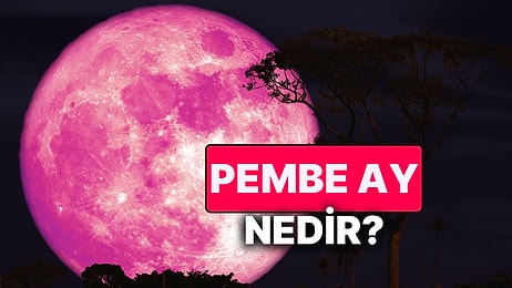 Pembe Dolunay Nedir, Ne Zaman Görülecek? Ay Gerçekten Pembe mi Olacak?