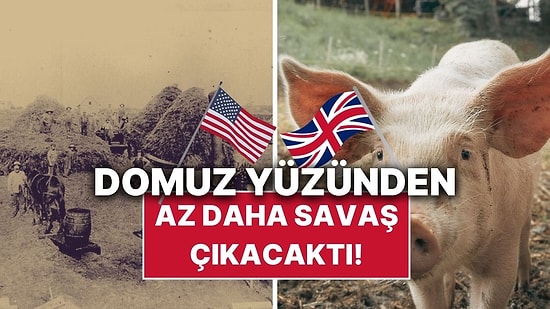 Az Daha ABD ve İngiltere'nin Birbirine Düşmesine Sebep Olan Olay: Domuz Savaşı