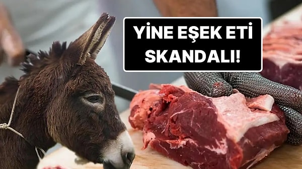 Kapak Görseli