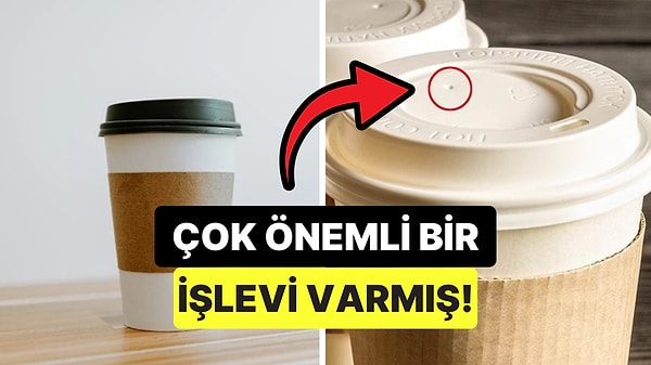 Kapak Görseli