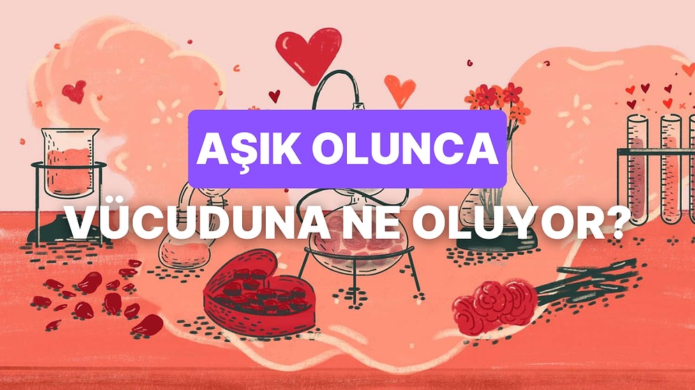 Aşık Olduğumuzda Vücudumuzda Neler Olup Bitiyor?