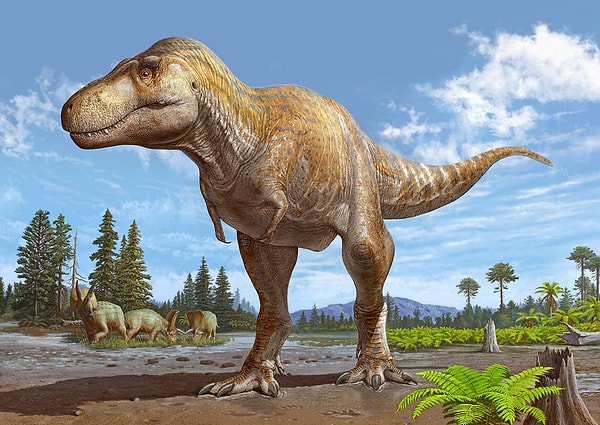 T. Rex