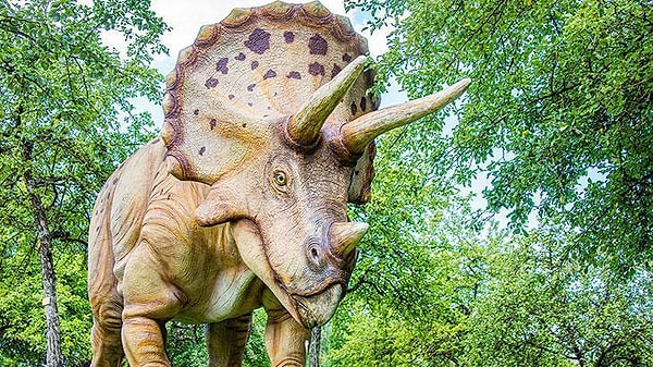Triceratops