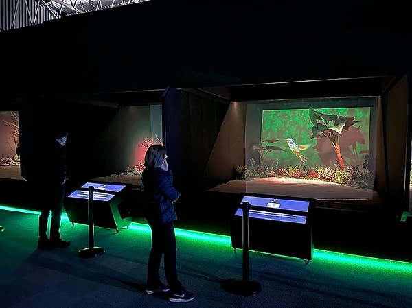 2. Ankara Digital Zoo