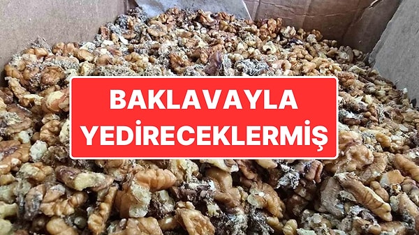 Kapak Görseli
