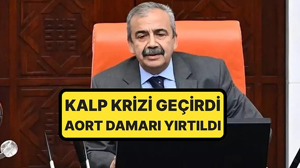 Kapak Görseli