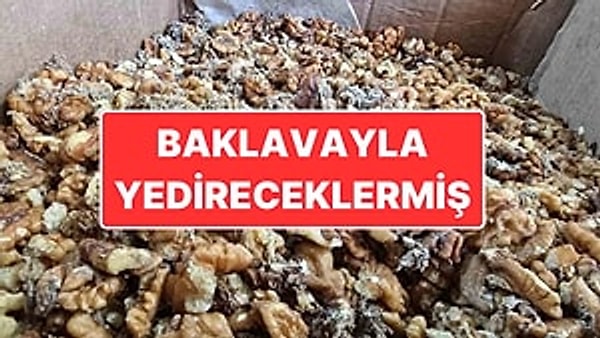 Şanlıurfa’nın Eyyübiye ilçesinde baklava imalatı yapan bir iş yerine baskın düzenlendi. Baskında, baklava yapımında kullanılacağı tespit edilen 11 ton küflenmiş ve kurtlanmış ceviz el geçirdi.