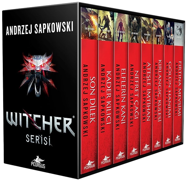 5. The Witcher Serisi, Andrzej Sapkowski