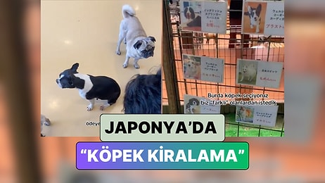 Japonya'da Yaşayan Bir Türk "Bir Günlüğüne Köpek Kiralama" Deneyimini Paylaştı