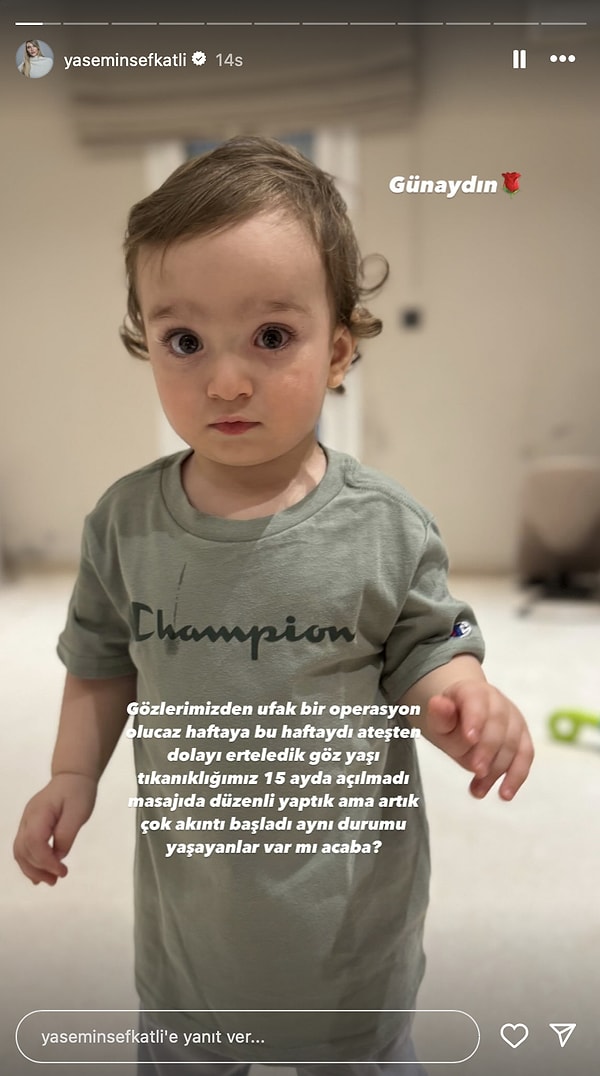 Yasemin Tatlıses Görseli