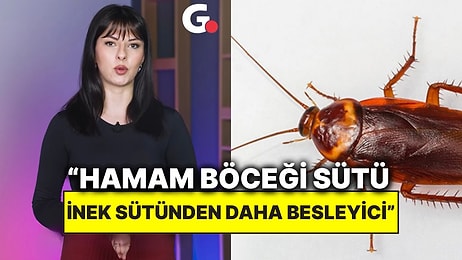 Uzmanlar, Hamam Böceği Sütünün Gelecekte En Popüler Gıda Olacağını İddia Etti
