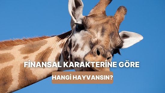 Finansal Karakterine Göre Hangi Hayvanla Özdeşleşiyorsun?
