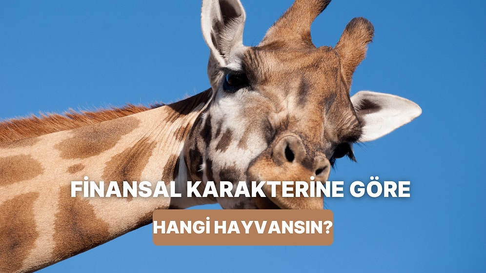 Finansal Karakterine Göre Hangi Hayvanla Özdeşleşiyorsun?