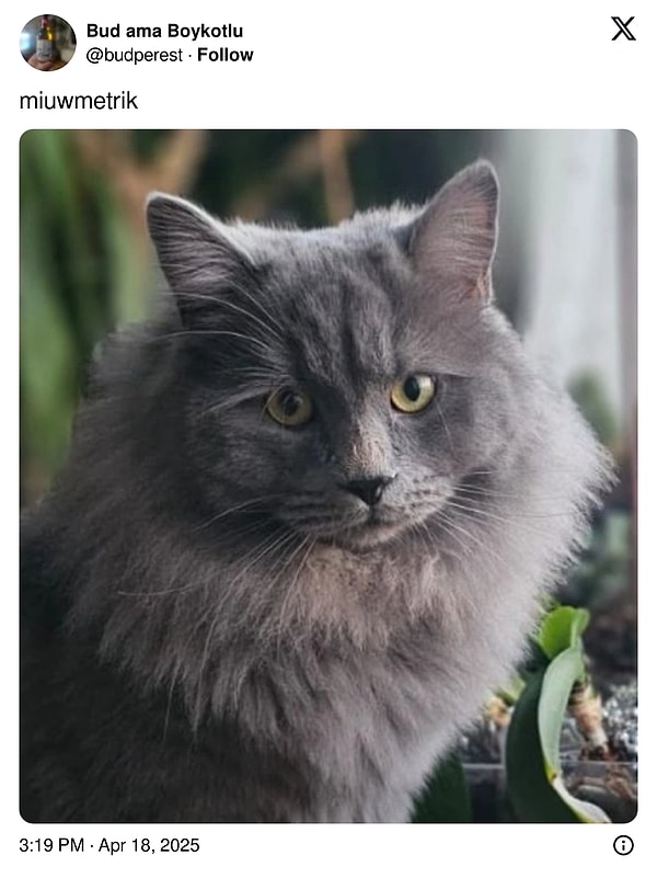 Sizin en beğendiğiniz hangisi oldu?