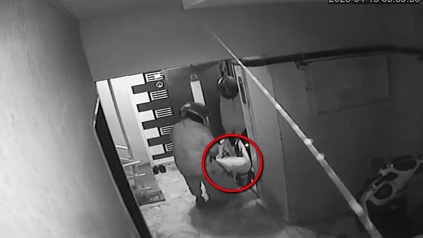3 şüpheli çıkarıldıkları mahkemece tutuklanarak cezaevine gönderildi.