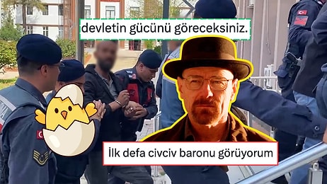 Ben Senin Bildiğin Baronlardan Değilim! Civciv Baronlarını Diline Düşürmekten Geri Kalmayan Goygocular
