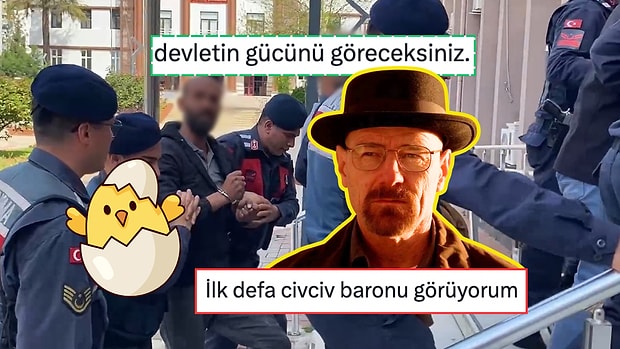 Ben Senin Bildiğin Baronlardan Değilim! Civciv Baronlarını Diline Düşürmekten Geri Kalmayan Goygocular