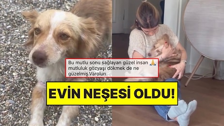 Barınaktan Eve: Köpek Dostumuzun Sıcacık Yuvası ile Yeni Hayatından Mutlu Kareleri!