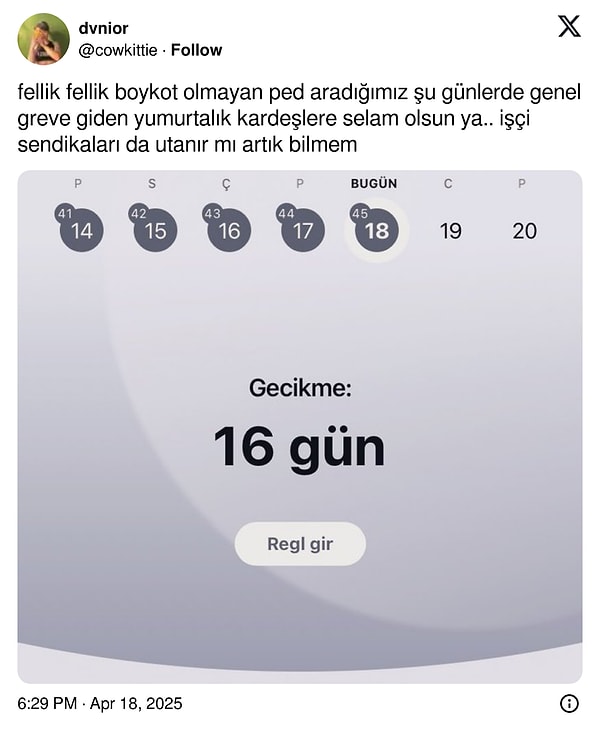 “Genel greve giden yumurtalık kardeşler”