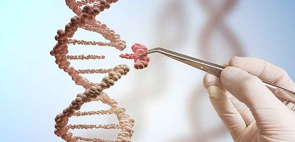 3. Biyoetik Danışmanı (Bioethics Consultant)
