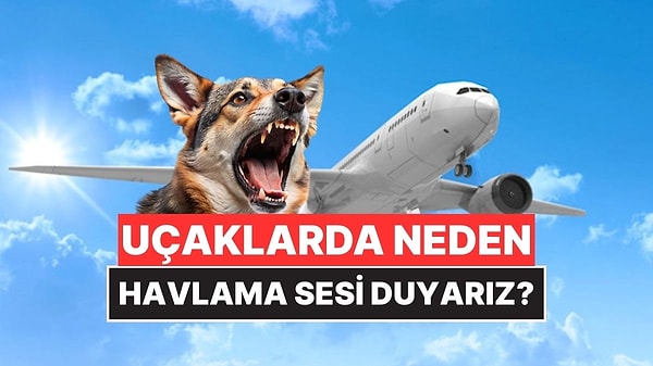 Kapak Görseli