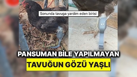 3D Yazıcı ile Bacağı Olmayan Tavuğa Protez Ayak Yapan Kişi Alkışları Topladı