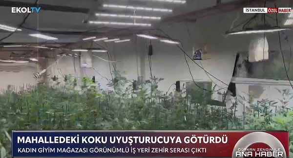 İstanbul’da mahallelinin dikkati bir uyuşturucu imalathanesini ortaya çıkardı.