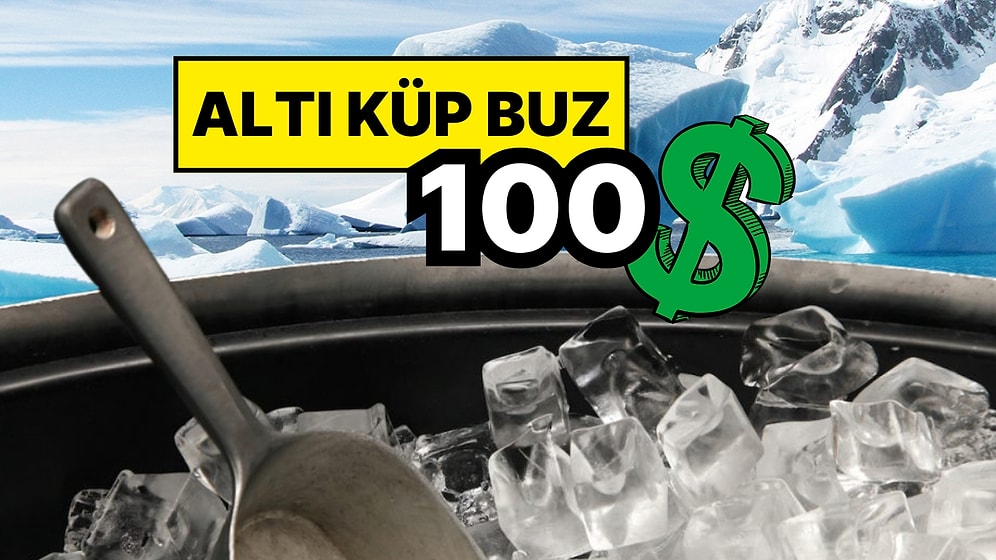 Grönland'da Kutup Buzu Ticareti: Altı Küp Buz İçin 100 Dolar Ödeyenler