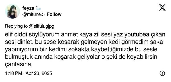 Ancak hiçbiri feyza isimli kullanıcının Ahmet Kaya zil sesi tavsiyesi kadar fantastik değildi.