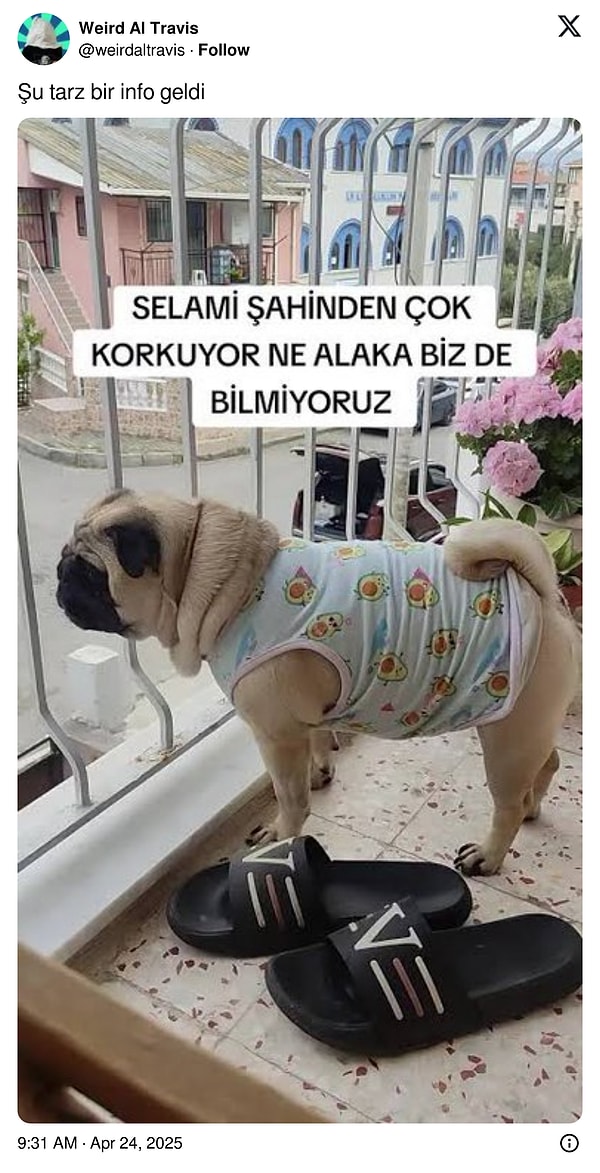 Tepkiler de geldi.