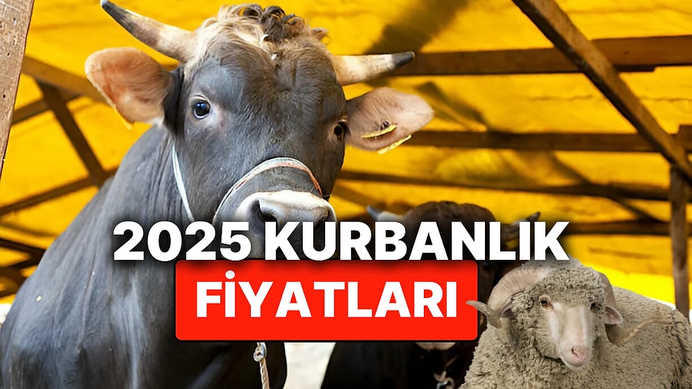 İl İl Kurbanlık Fiyatları 2025! Dana, Tosun, Koyun, Küçükbaş ve Büyükbaş Kurban Fiyatları Ne Kadar Oldu?