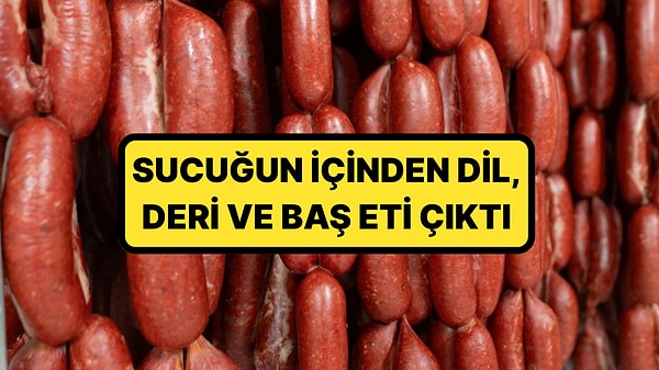 Kapak Görseli