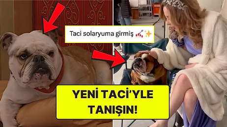 Yorum Yağdı: Sihirli Annem'in Yeni Taci'sini Beğenemedik!